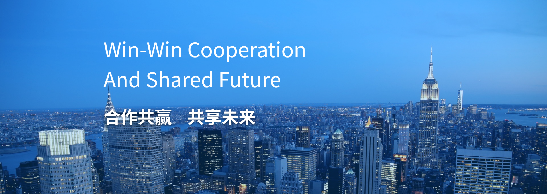 相似象学会誌　相似象　第四号 相似象学会誌 相似象 第四号 第五号 第六号 カタカムナ